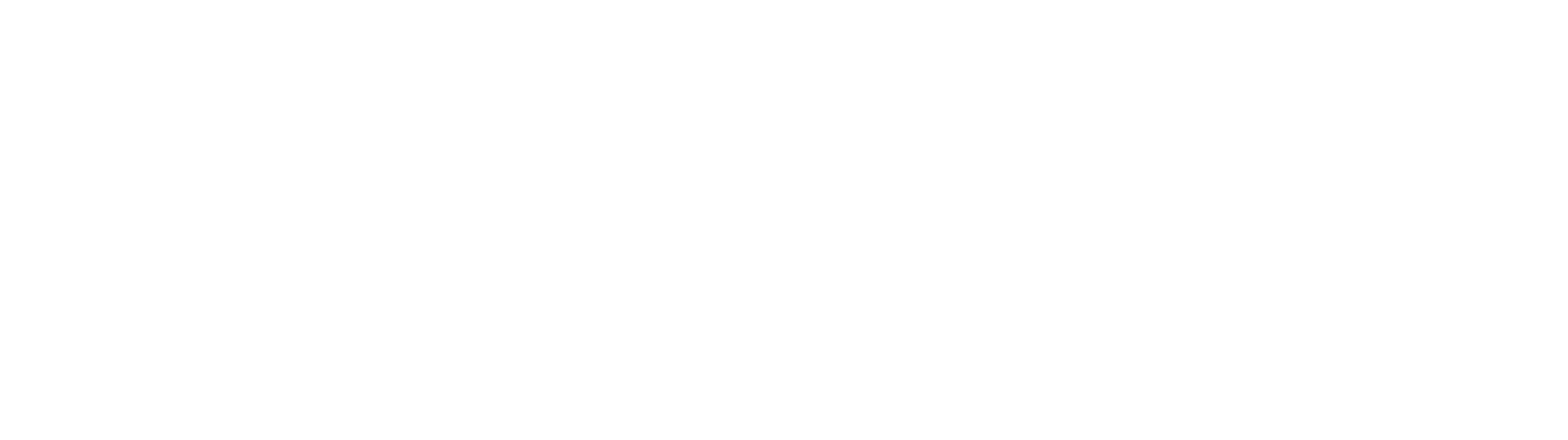 Qualizant Logo